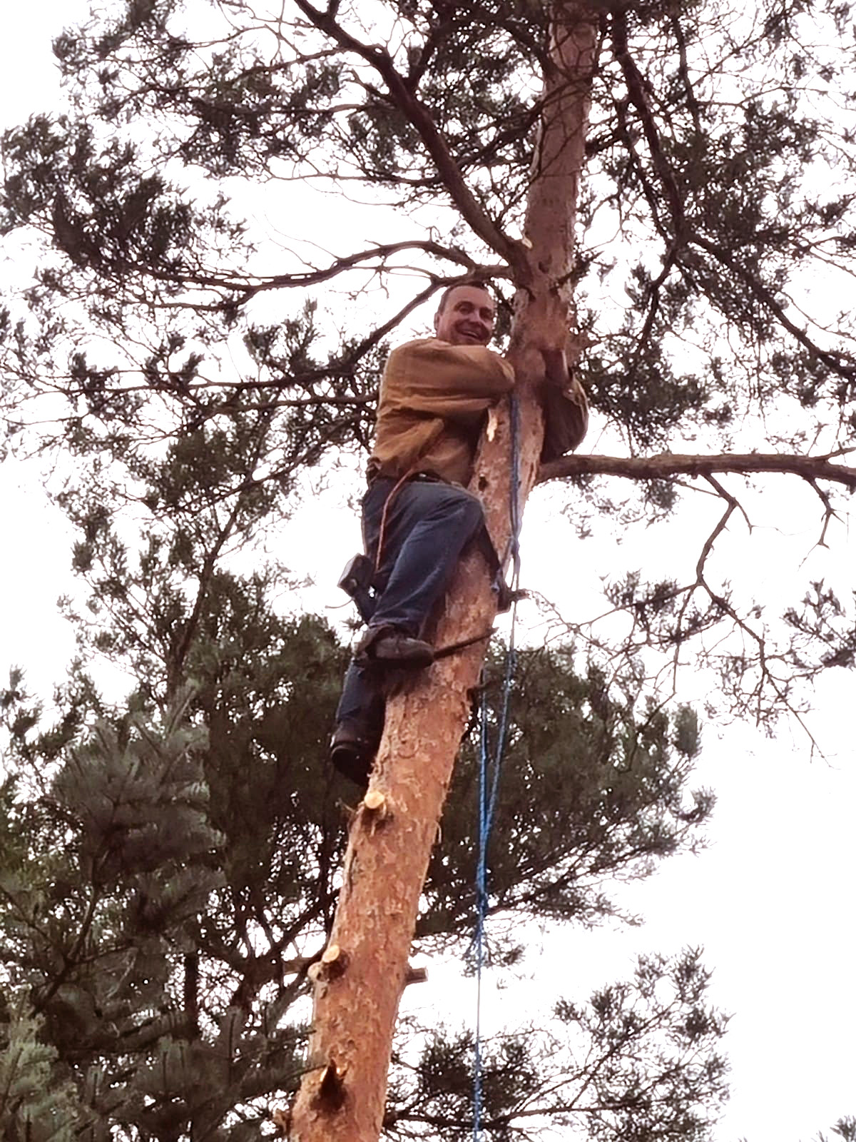 Stehrumchen Tom mit Baum